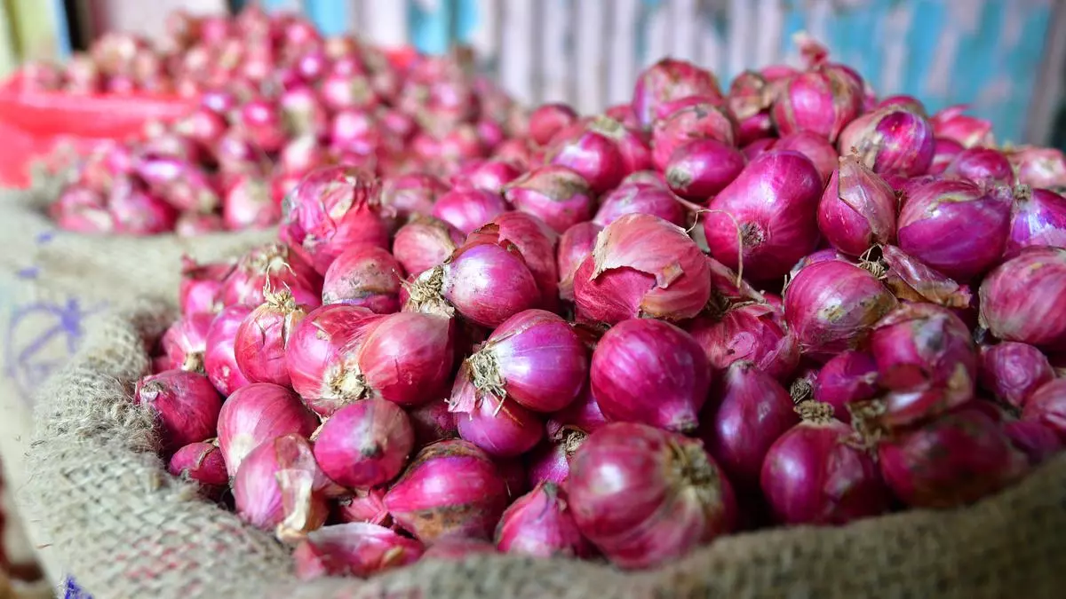 Govt allows exports of over 1 lakh tonnes of onion to 6 neighbouring nations