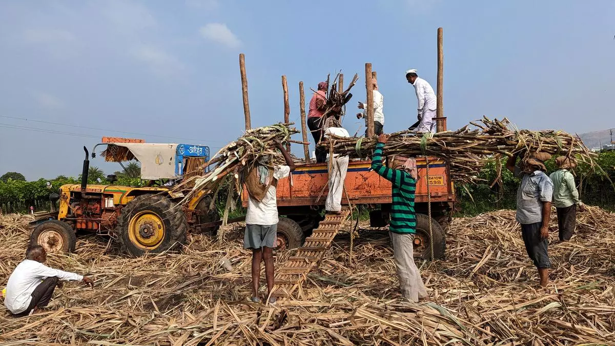 Facing no punitive action, Maha sugar barons ‘work’ for BJP victory